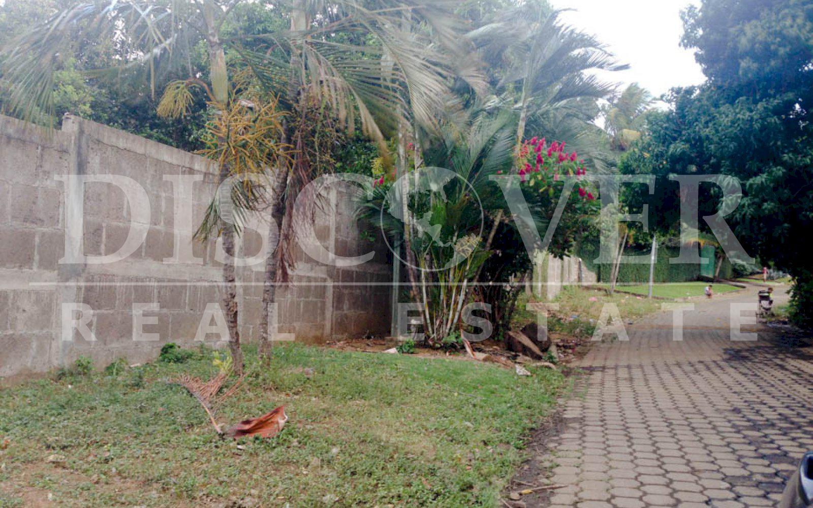 https://images.discovernica.com/propiedad/1600/terreno_venta_carretera_sur_topografia_plana_y_ondulada_ID_11498_5.jpg