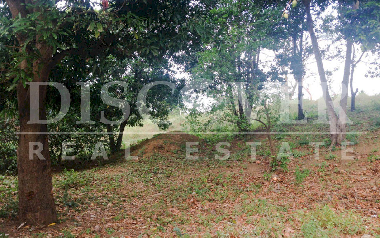 https://images.discovernica.com/propiedad/1600/terreno_venta_carretera_sur_topografia_plana_y_ondulada_ID_11498_7.jpg
