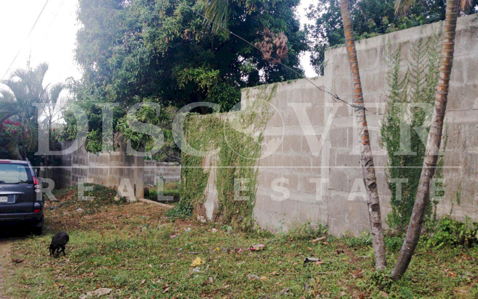 https://images.discovernica.com/propiedad/1600/terreno_venta_carretera_sur_topografia_plana_y_ondulada_ID_11498_8.jpg