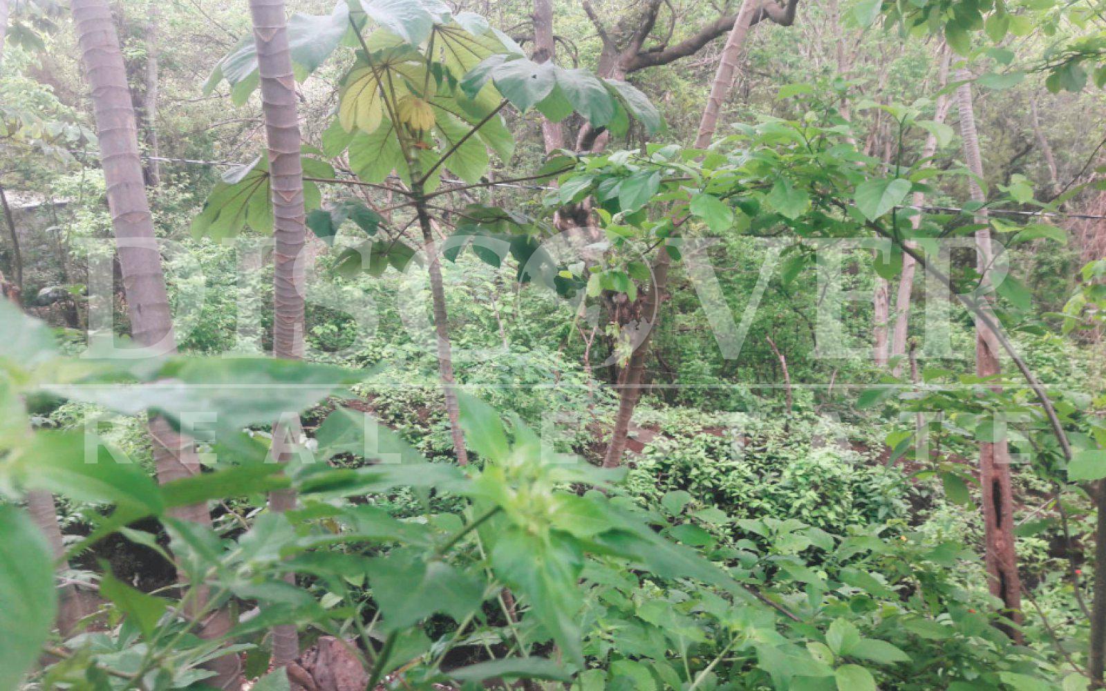 https://images.discovernica.com/propiedad/1600/terreno_venta_carretera_vieja_a_le_n_id_10713_2.jpg