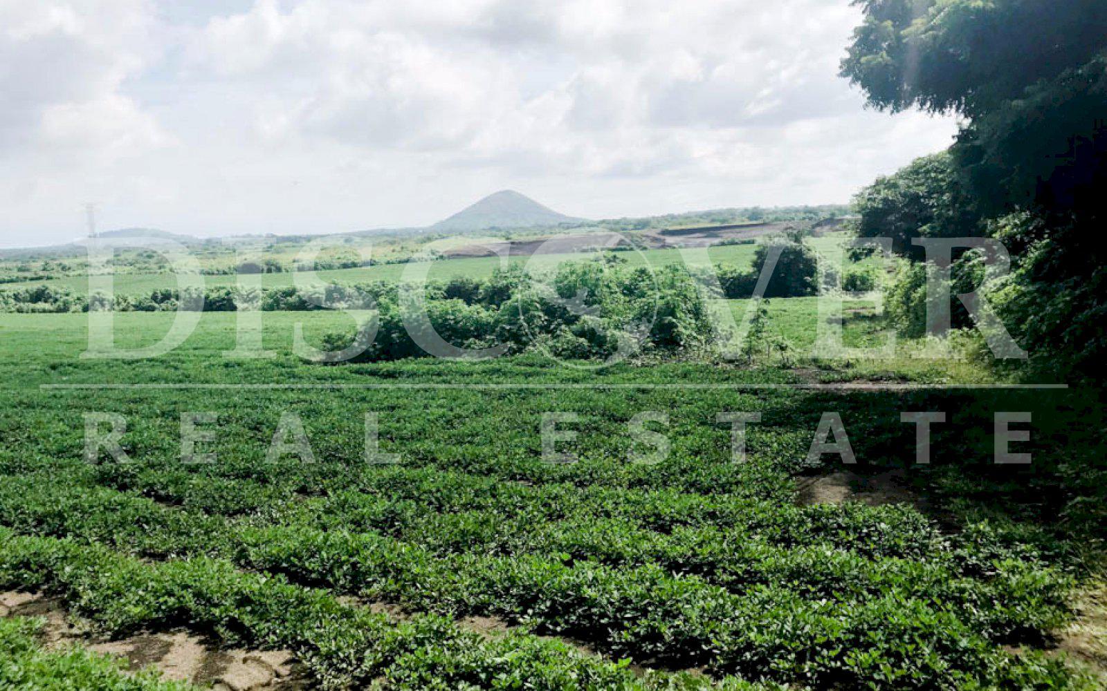 https://images.discovernica.com/propiedad/1600/terreno_venta_carretera_vieja_leon_2_399_500_vr2_terreno_ID11272_10.jpg
