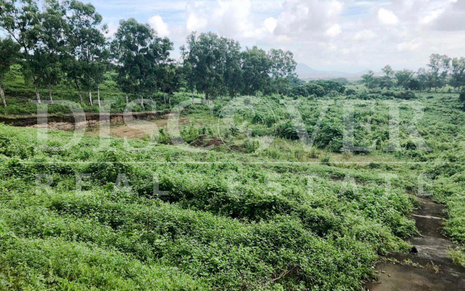 https://images.discovernica.com/propiedad/1600/terreno_venta_carretera_vieja_leon_2_399_500_vr2_terreno_ID11272_11.jpg