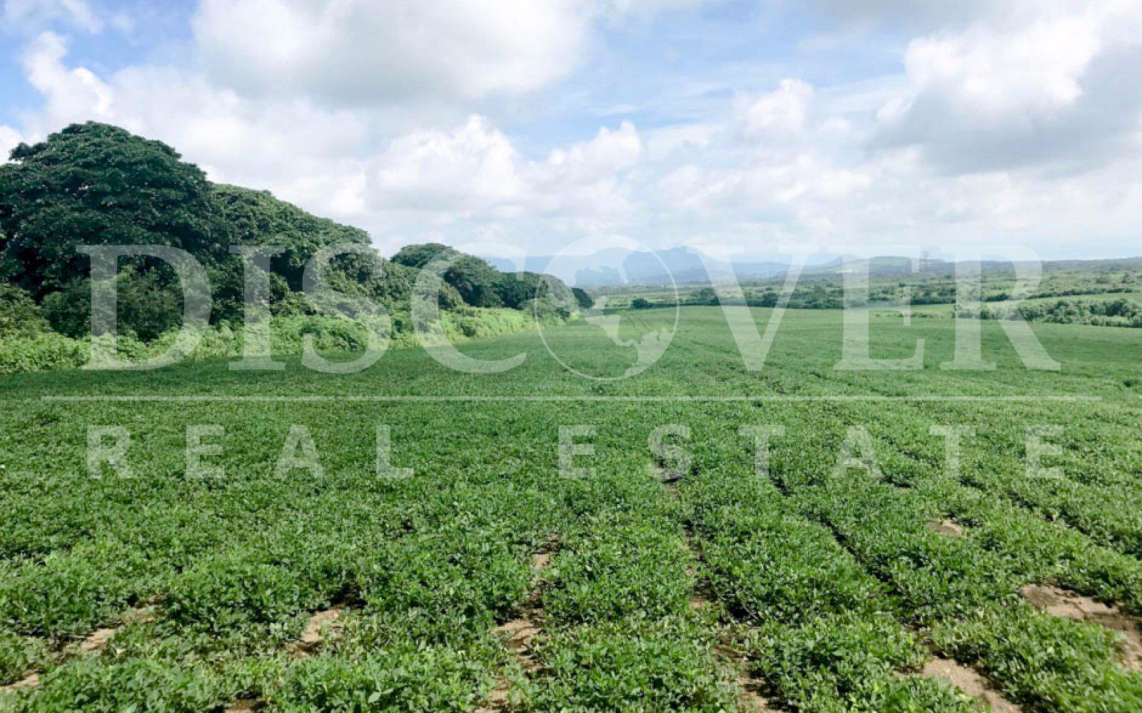 https://images.discovernica.com/propiedad/1600/terreno_venta_carretera_vieja_leon_2_399_500_vr2_terreno_ID11272_2.jpg