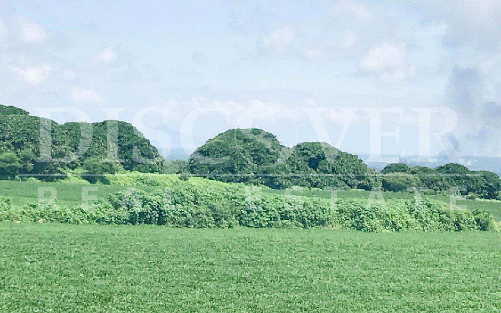 https://images.discovernica.com/propiedad/1600/terreno_venta_carretera_vieja_leon_2_399_500_vr2_terreno_ID11272_3.jpg