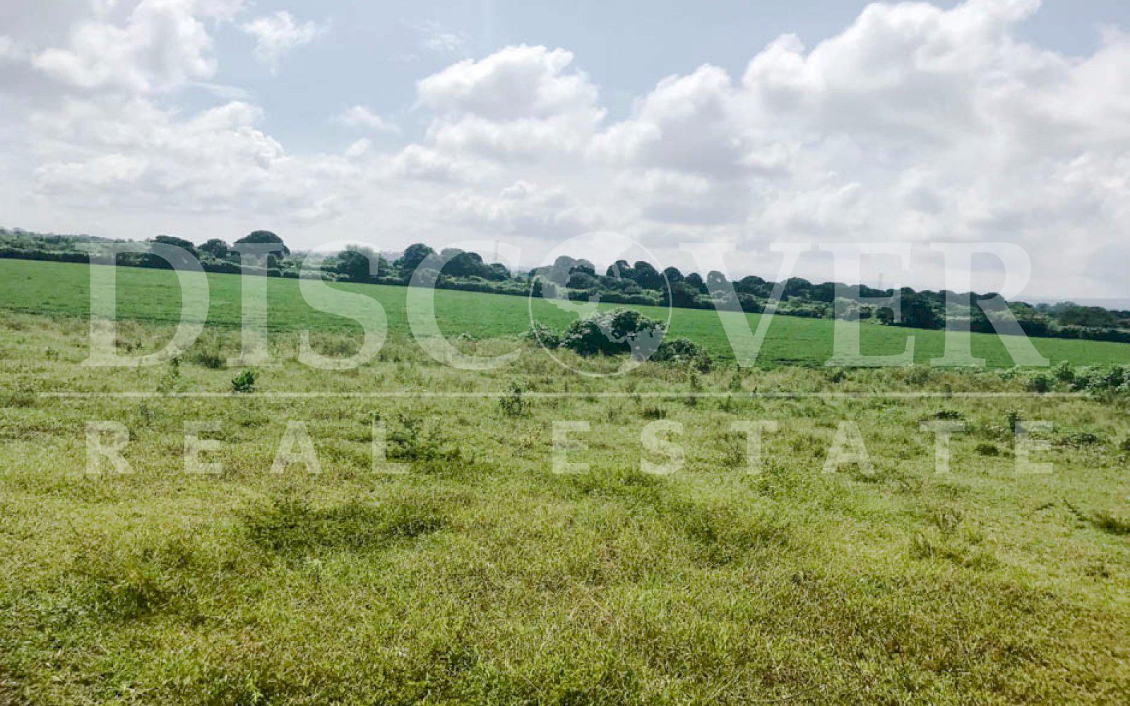 https://images.discovernica.com/propiedad/1600/terreno_venta_carretera_vieja_leon_2_399_500_vr2_terreno_ID11272_7.jpg