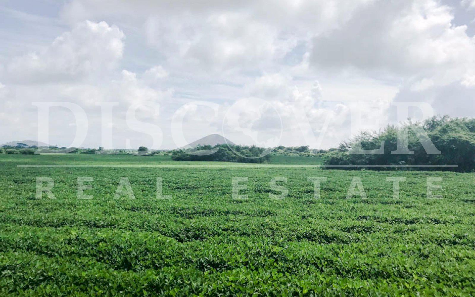 https://images.discovernica.com/propiedad/1600/terreno_venta_carretera_vieja_leon_2_399_500_vr2_terreno_ID11272_8.jpg