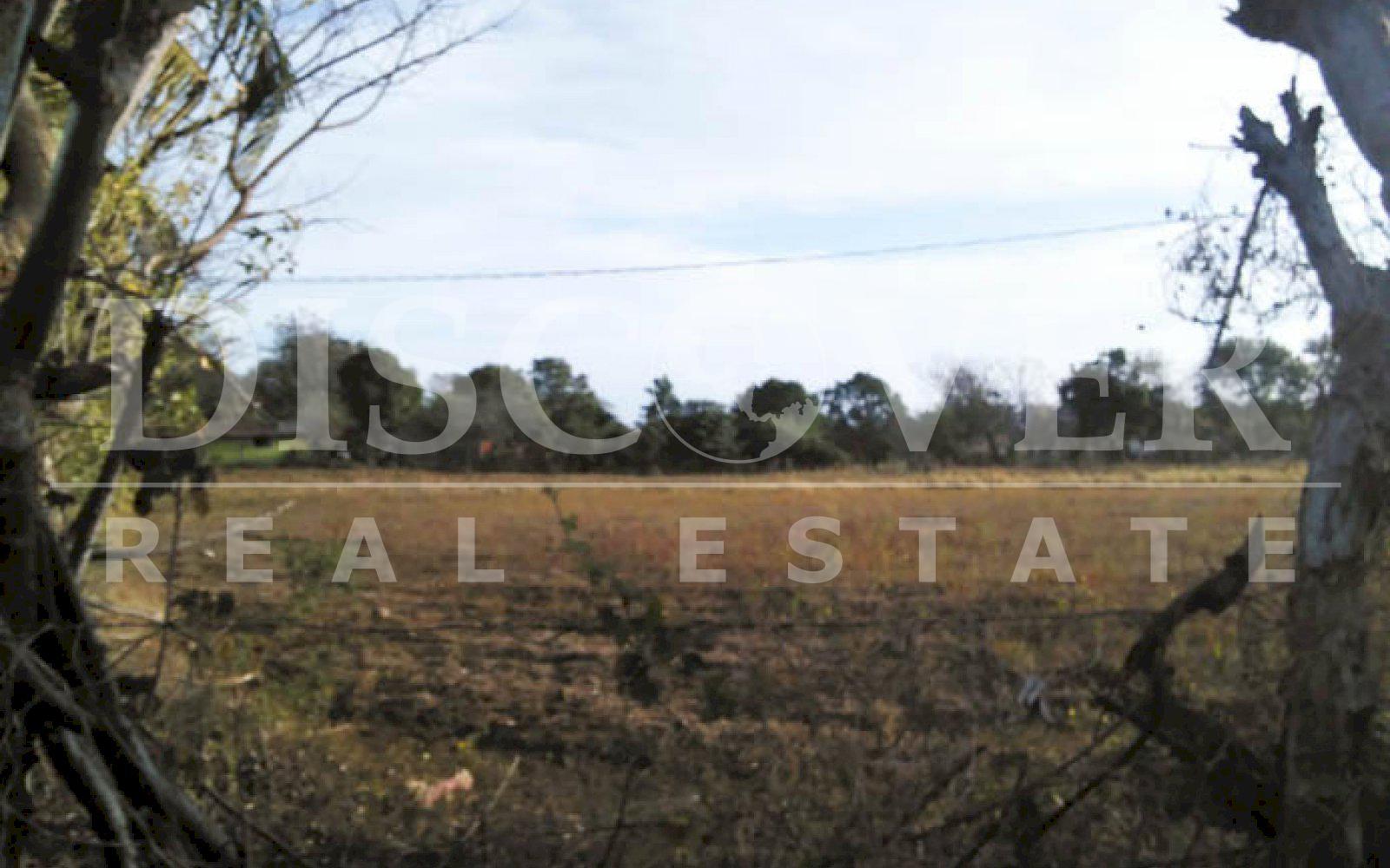Imagen 4 de la galería