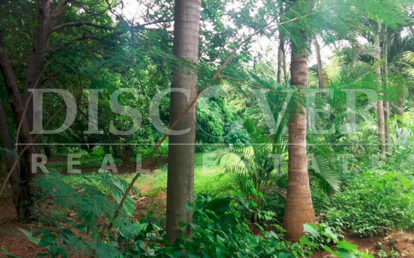 https://images.discovernica.com/propiedad/1600/terreno_venta_colinas_zona_alta_plusvalia_ID_11124.jpg