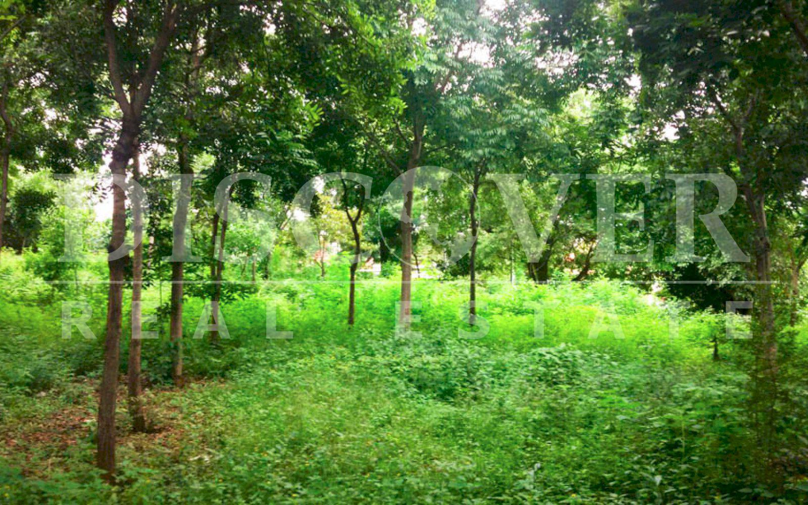 https://images.discovernica.com/propiedad/1600/terreno_venta_colinas_zona_alta_plusvalia_ID_11124_10.jpg
