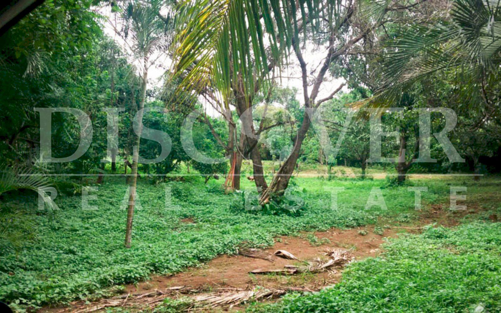 https://images.discovernica.com/propiedad/1600/terreno_venta_colinas_zona_alta_plusvalia_ID_11124_3.jpg