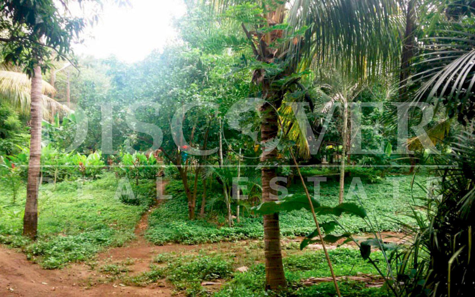 https://images.discovernica.com/propiedad/1600/terreno_venta_colinas_zona_alta_plusvalia_ID_11124_4.jpg