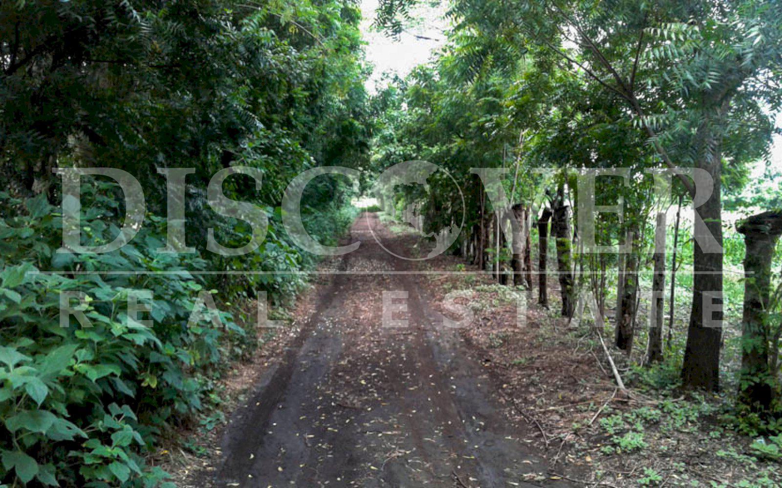 Imagen 3 de la galería