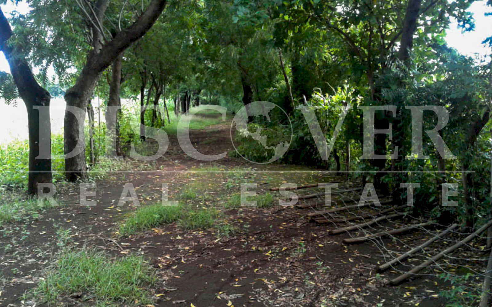 Imagen 4 de la galería