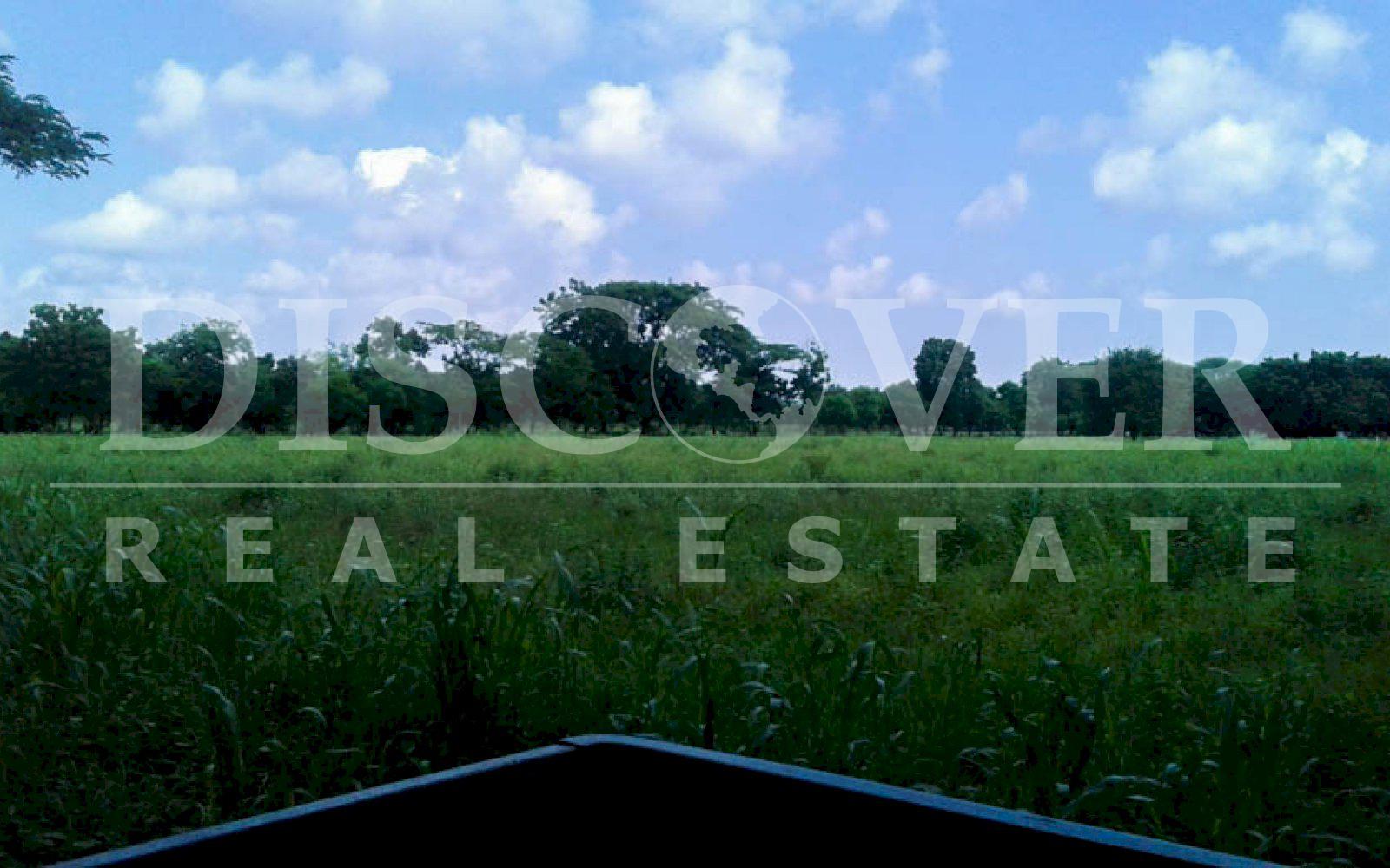 Imagen 5 de la galería