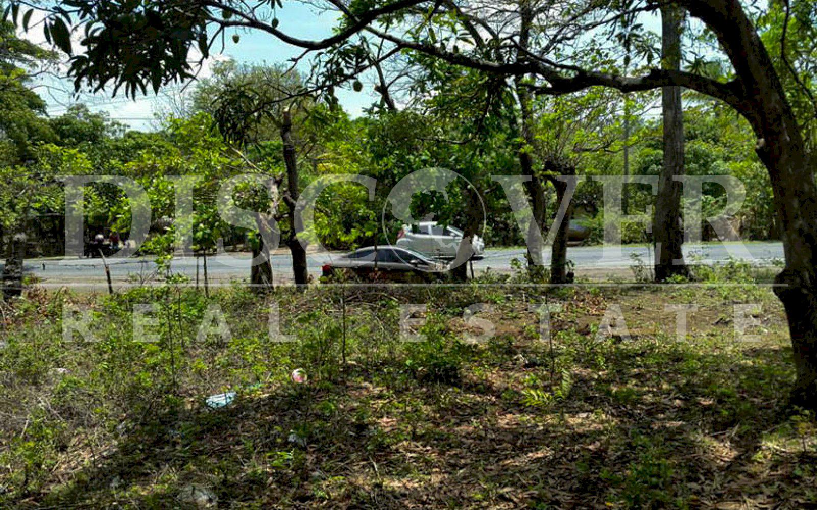 Imagen 2 de la galería