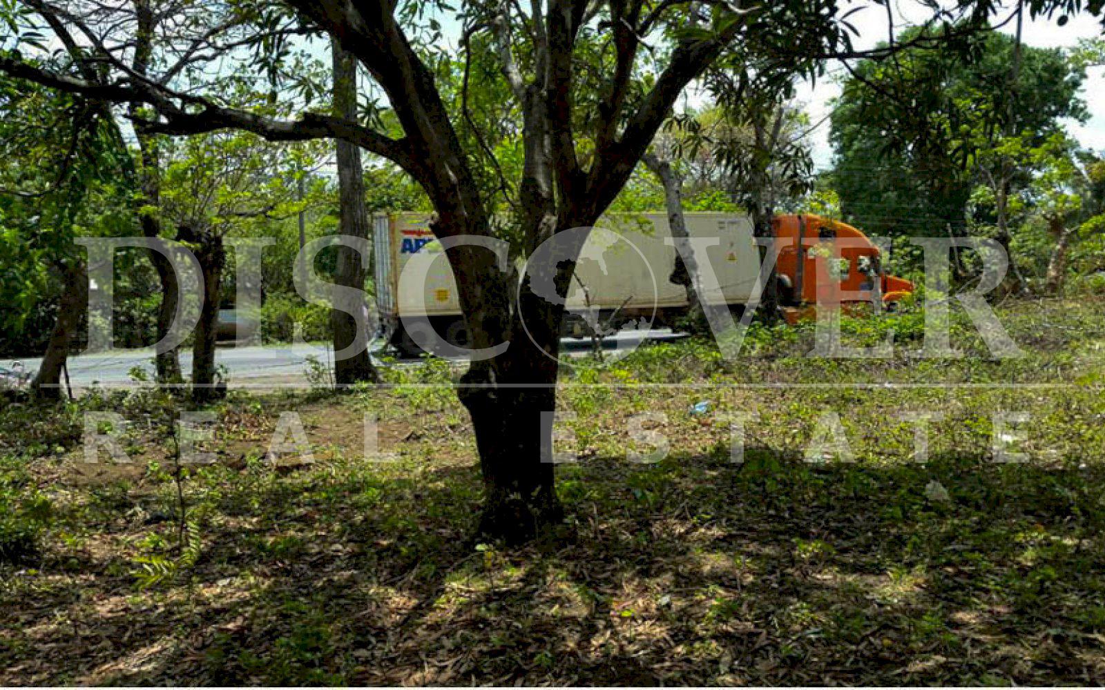 Imagen 3 de la galería