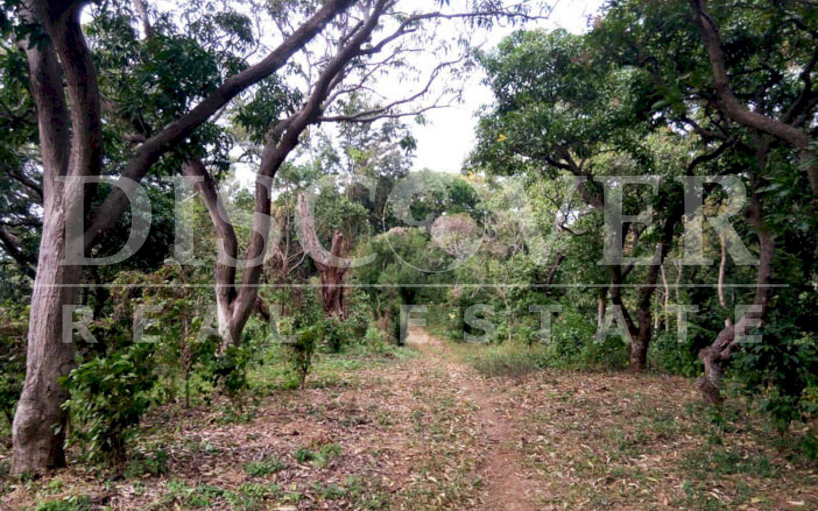 Land for sale located in Jocote Dulce.