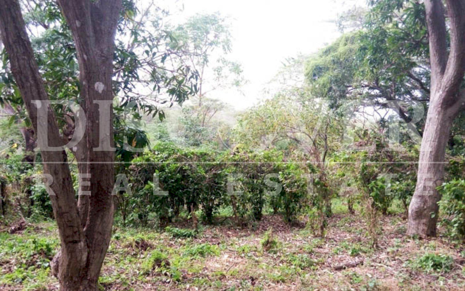 Land for sale located in Jocote Dulce.