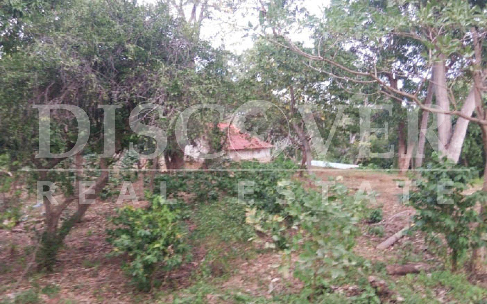 Land for sale located in Jocote Dulce.