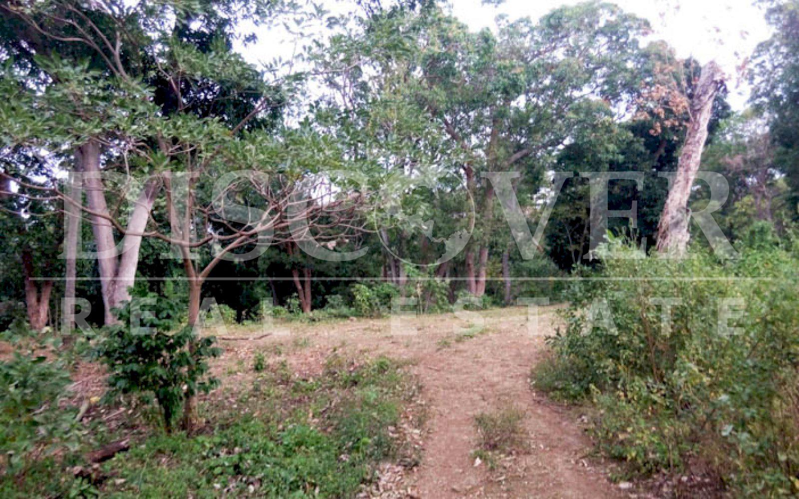 Land for sale located in Jocote Dulce.