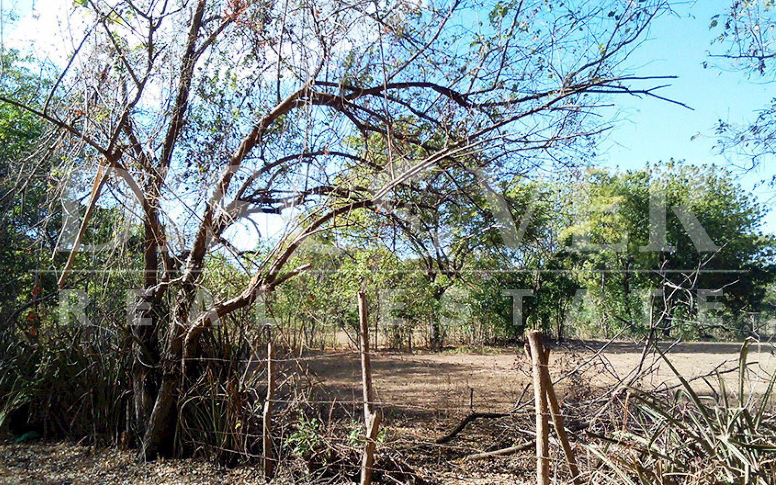 Imagen 4 de la galería