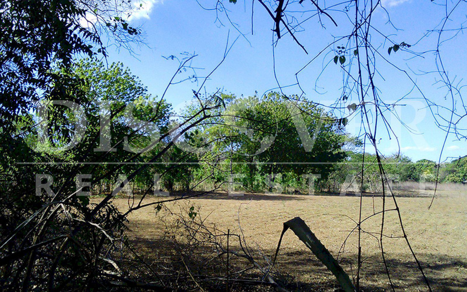 Imagen 2 de la galería