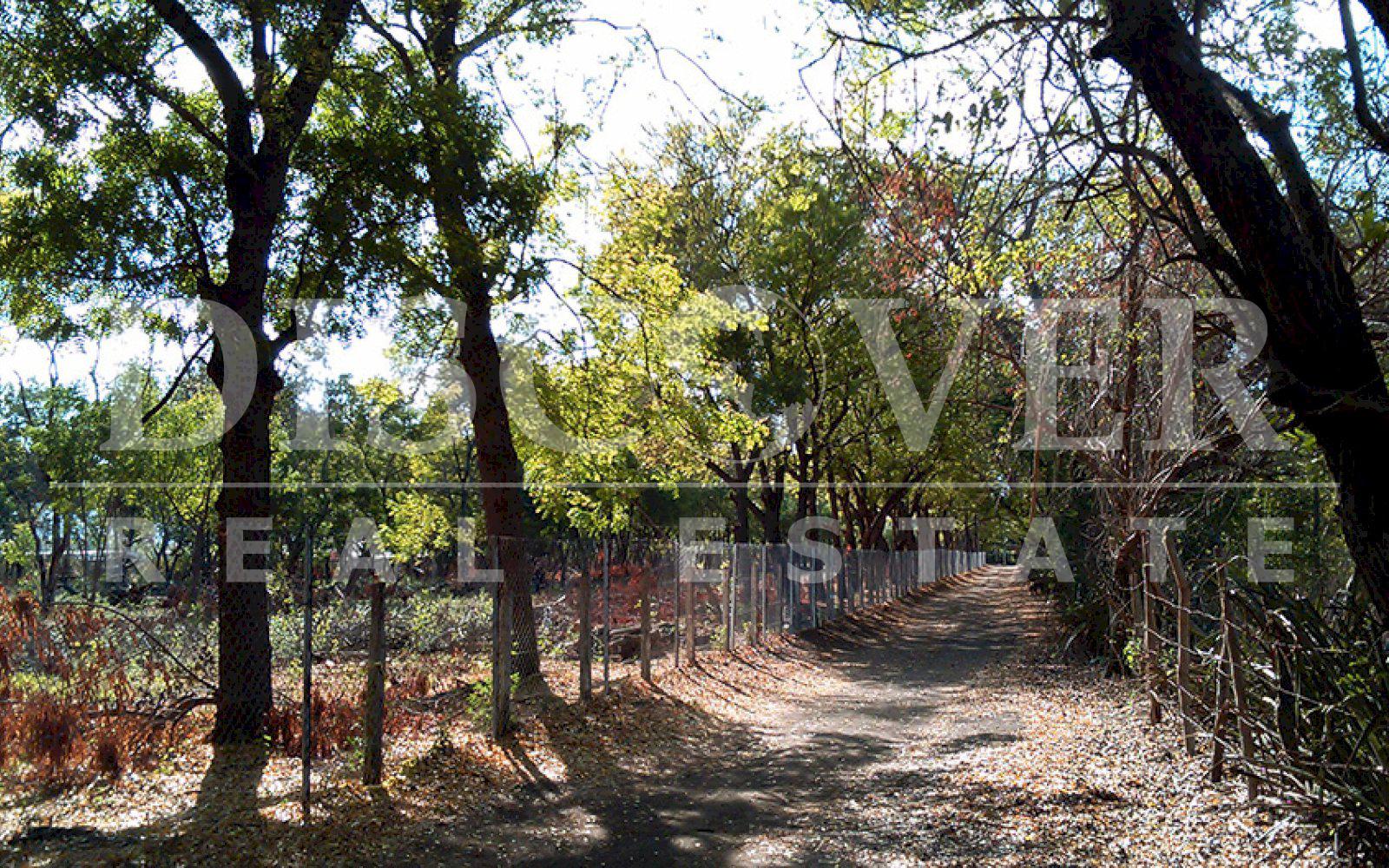 Imagen 3 de la galería