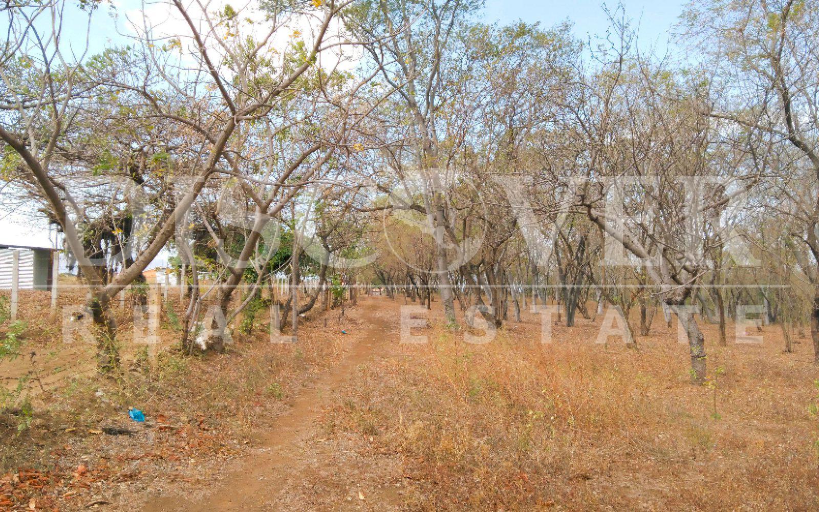 https://images.discovernica.com/propiedad/1600/terreno_venta_las_colinas_id_10984.jpg