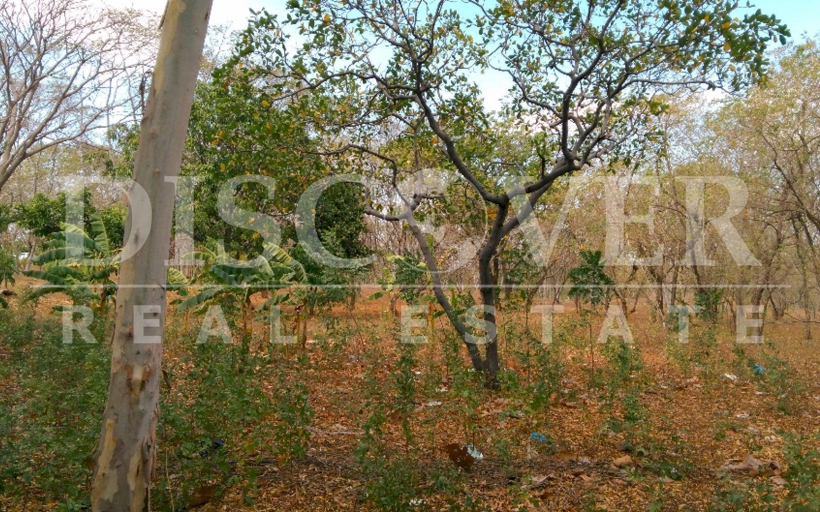 https://images.discovernica.com/propiedad/1600/terreno_venta_las_colinas_id_10984_3.jpg