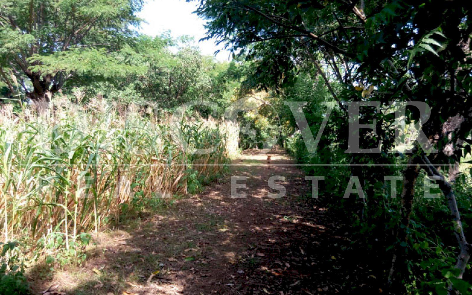 https://images.discovernica.com/propiedad/1600/terreno_venta_las_jaguitas_id_10606.jpg