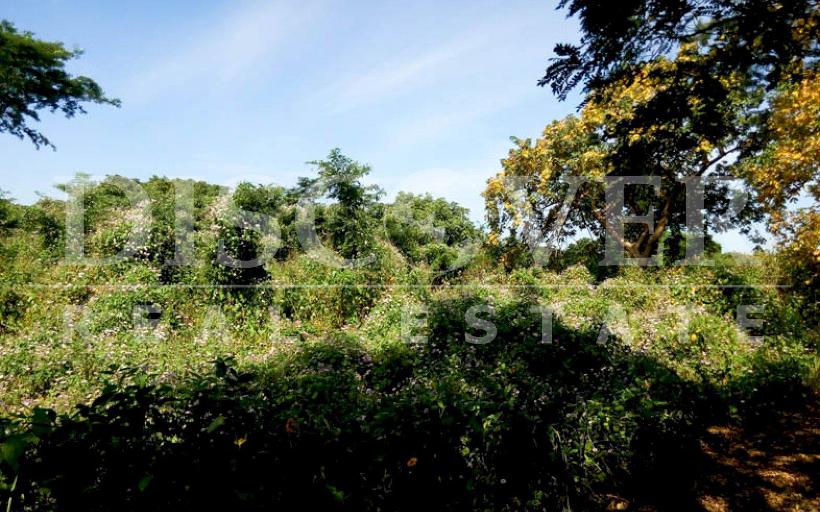https://images.discovernica.com/propiedad/1600/terreno_venta_las_jaguitas_id_10606_2.jpg