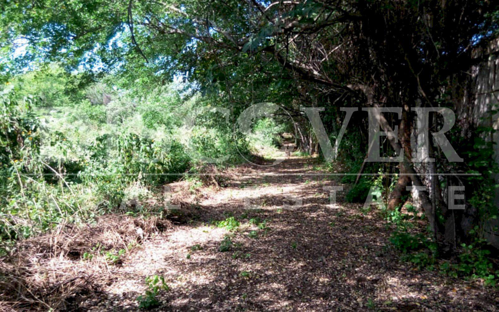 https://images.discovernica.com/propiedad/1600/terreno_venta_las_jaguitas_id_10606_4.jpg