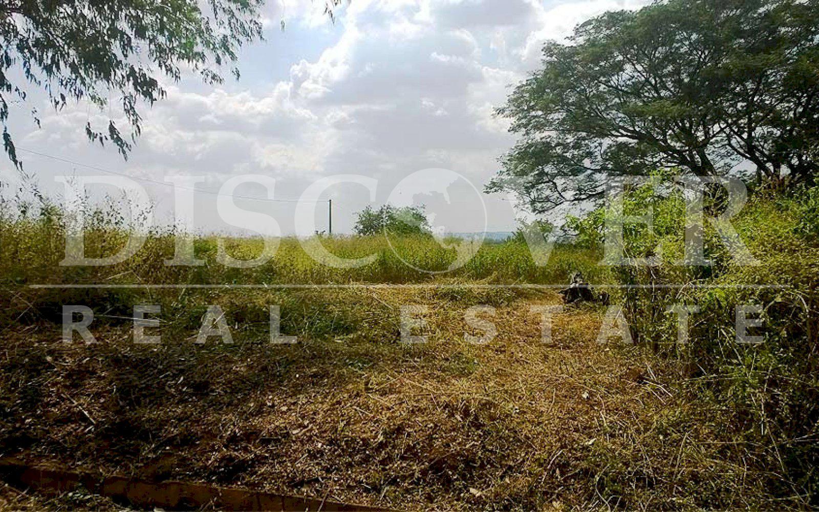 https://images.discovernica.com/propiedad/1600/terreno_venta_leon_nicaragua_id_9772_3.jpg