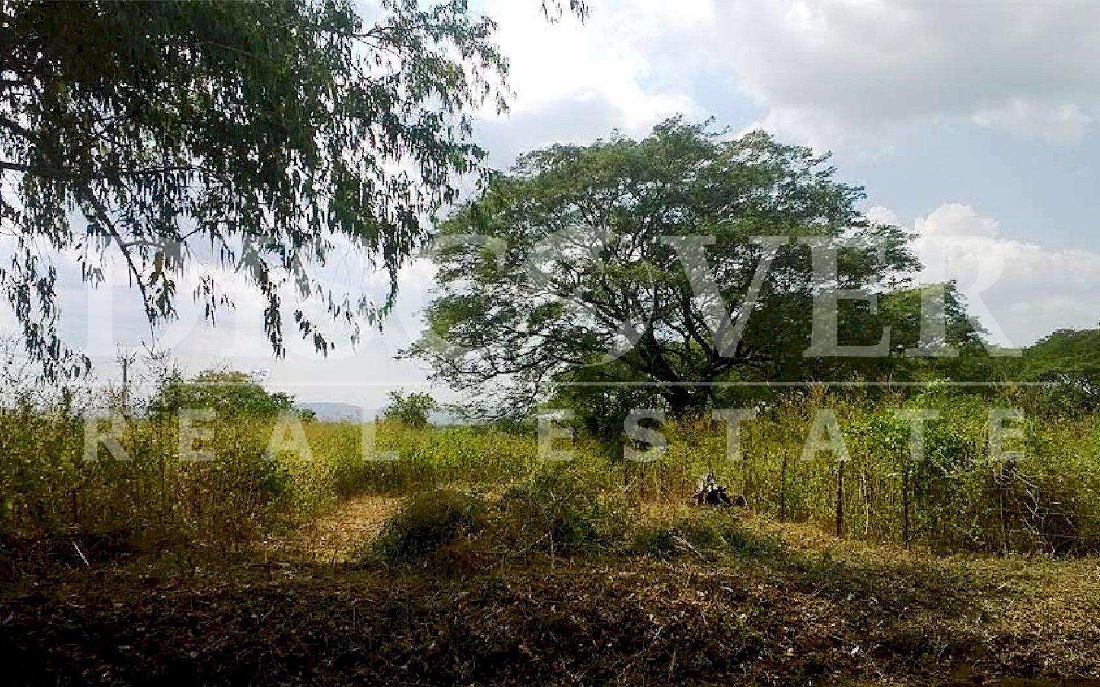 https://images.discovernica.com/propiedad/1600/terreno_venta_leon_nicaragua_id_9772_4.jpg