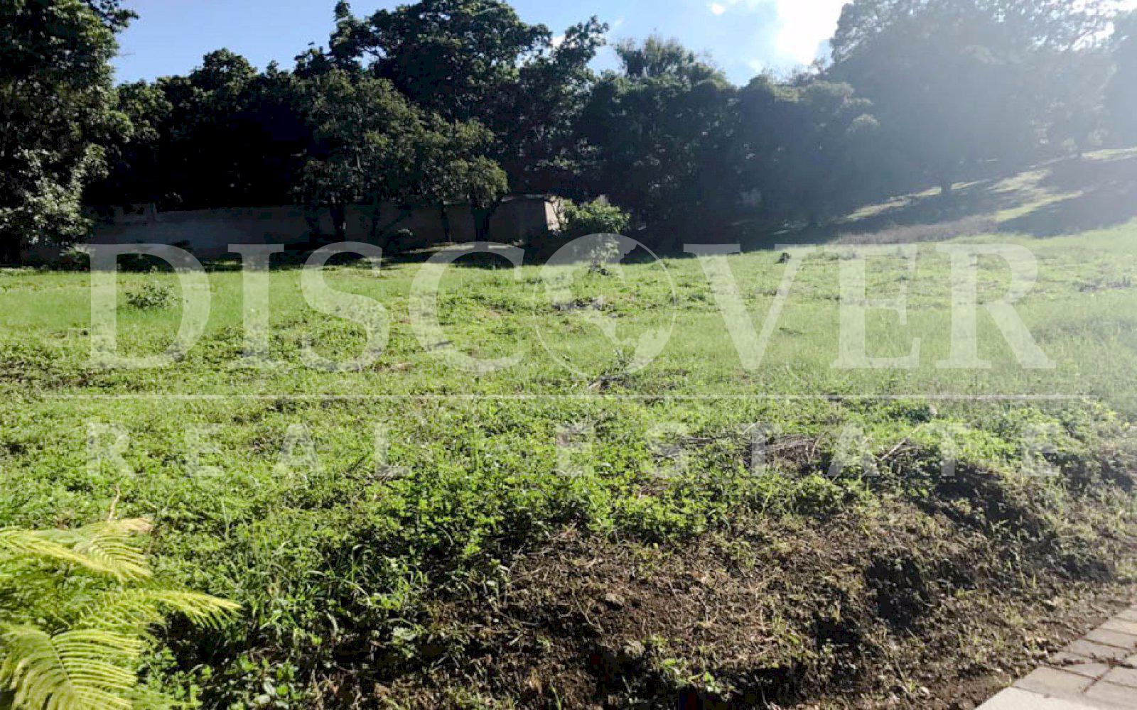 https://images.discovernica.com/propiedad/1600/terreno_venta_lomas_bosque_6_lotes_2_500_vr2_cada_uno_ID11274_5.jpg