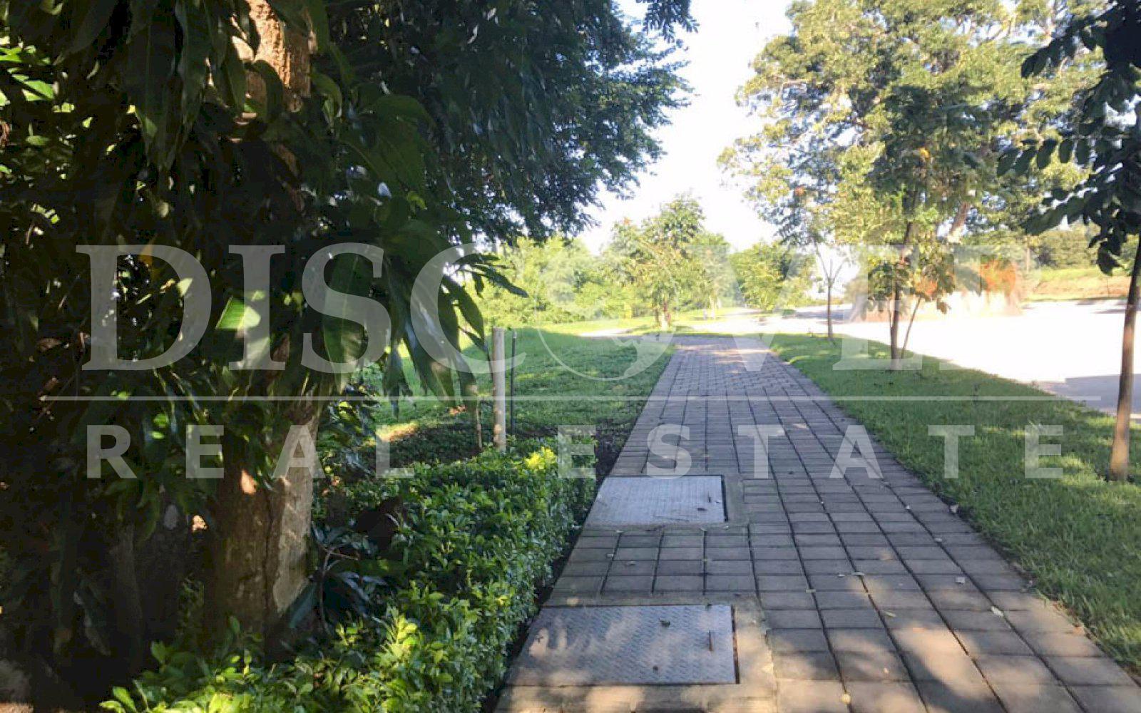 https://images.discovernica.com/propiedad/1600/terreno_venta_lomas_bosque_6_lotes_2_500_vr2_cada_uno_ID11274_7.jpg