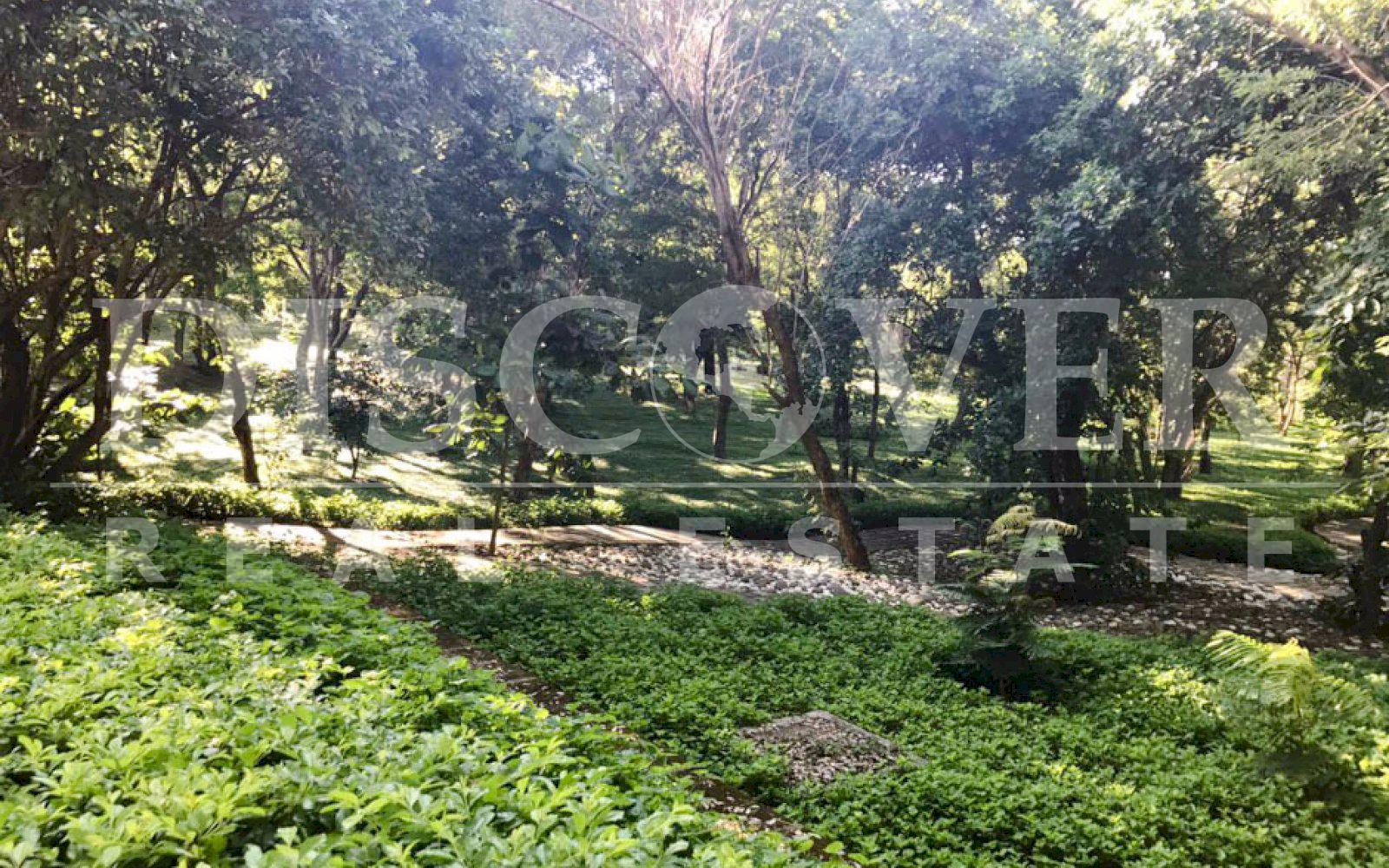 https://images.discovernica.com/propiedad/1600/terreno_venta_lomas_bosque_6_lotes_2_500_vr2_cada_uno_ID11274_8.jpg