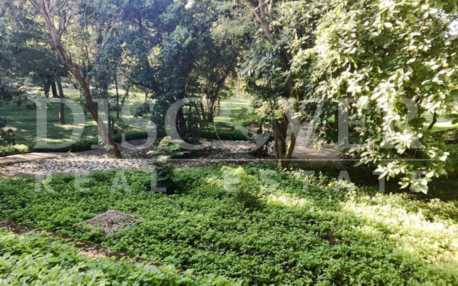 https://images.discovernica.com/propiedad/1600/terreno_venta_lomas_bosque_6_lotes_2_500_vr2_cada_uno_ID11274_9.jpg
