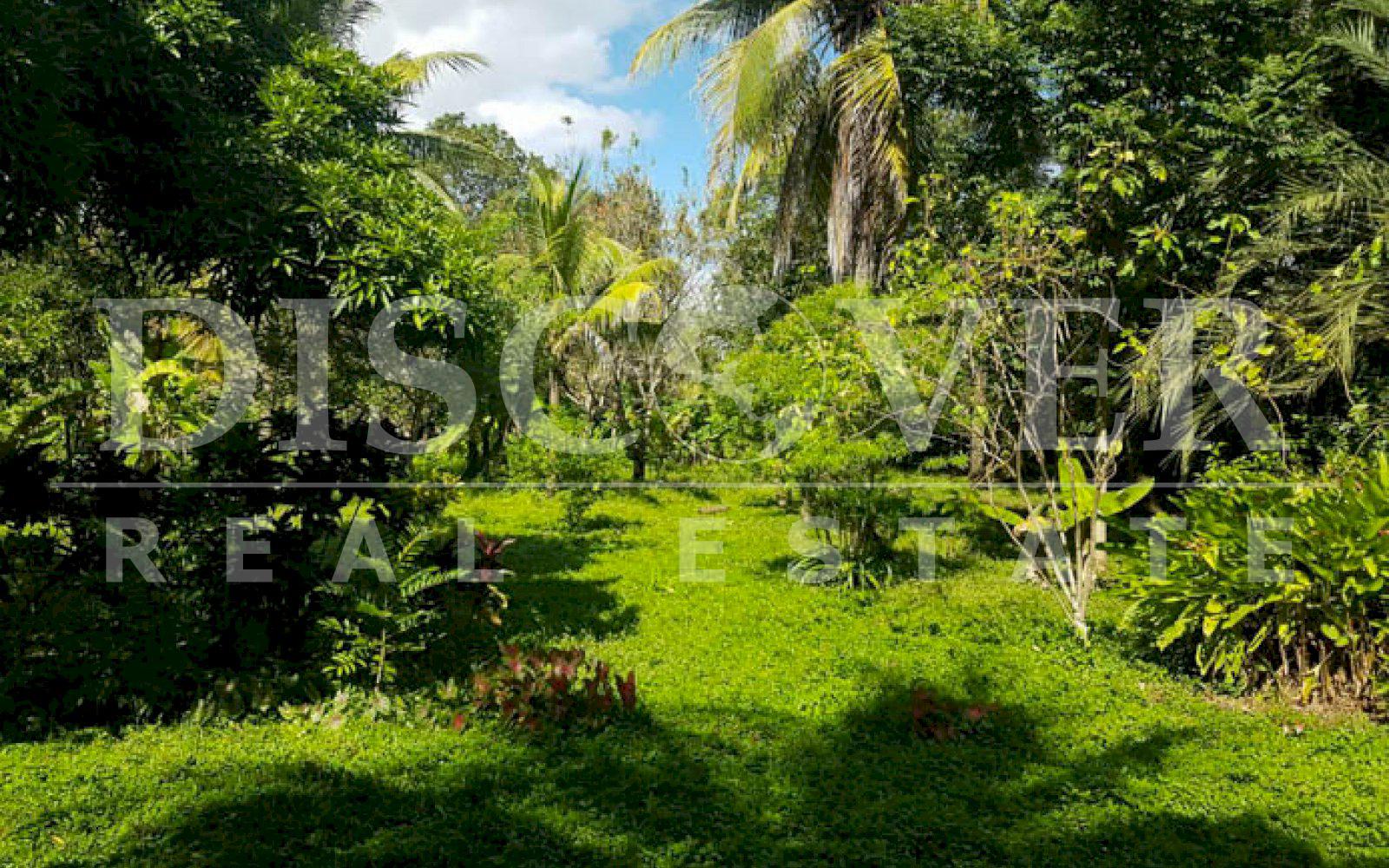 https://images.discovernica.com/propiedad/1600/terreno_venta_masaya_id_10443_4.jpg