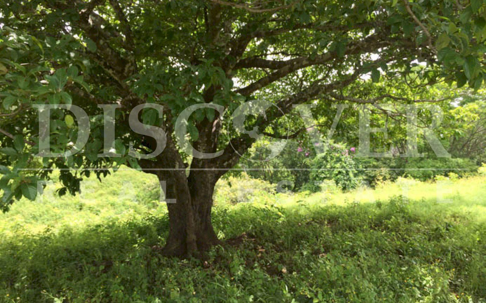  Land of 34.80 acres for Sale located in Masaya ID 10389
