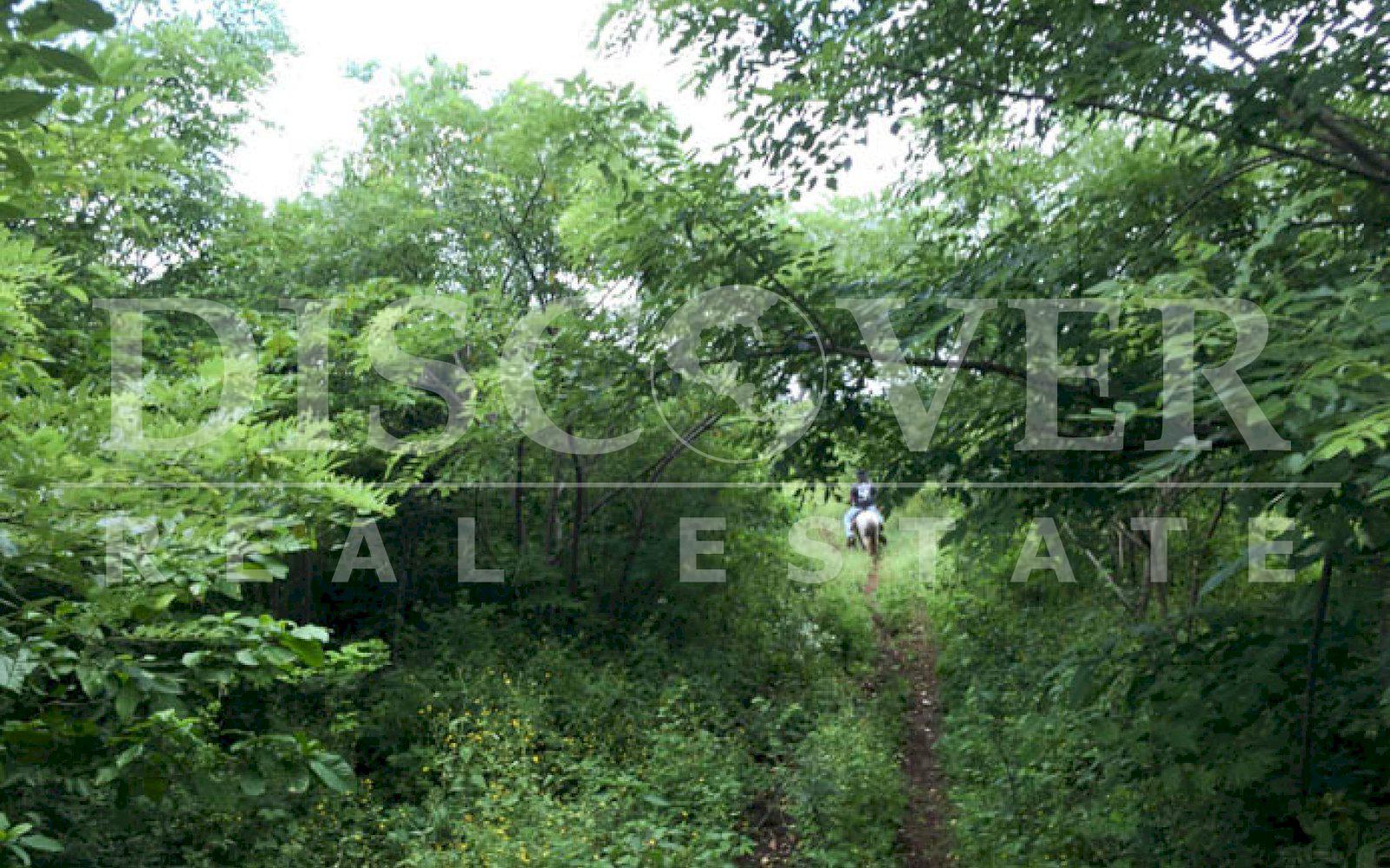  Land of 34.80 acres for Sale located in Masaya ID 10389