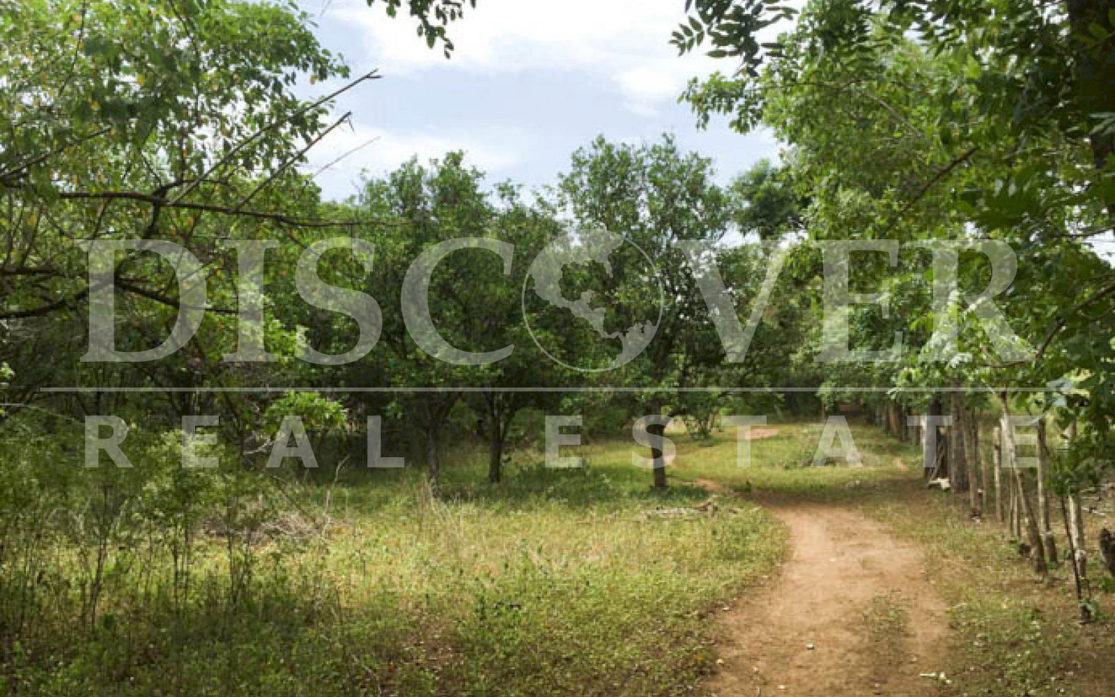  Land of 34.80 acres for Sale located in Masaya ID 10389