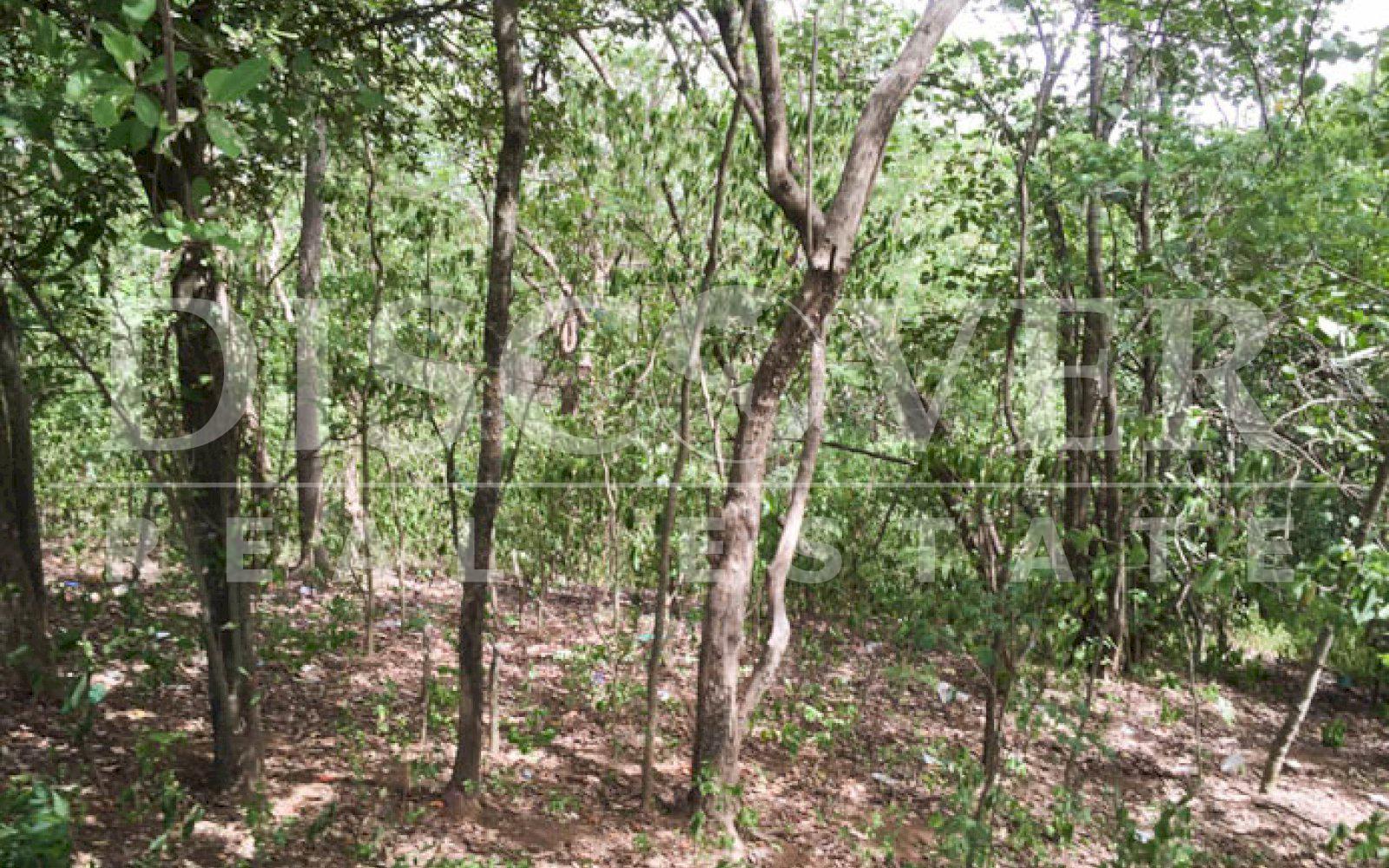  Land of 34.80 acres for Sale located in Masaya ID 10389