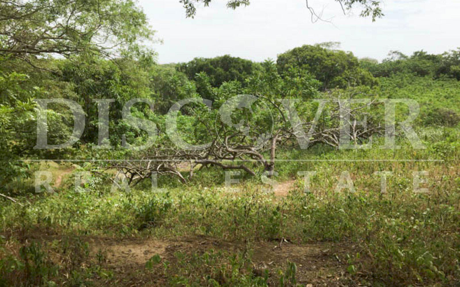  Land of 34.80 acres for Sale located in Masaya ID 10389