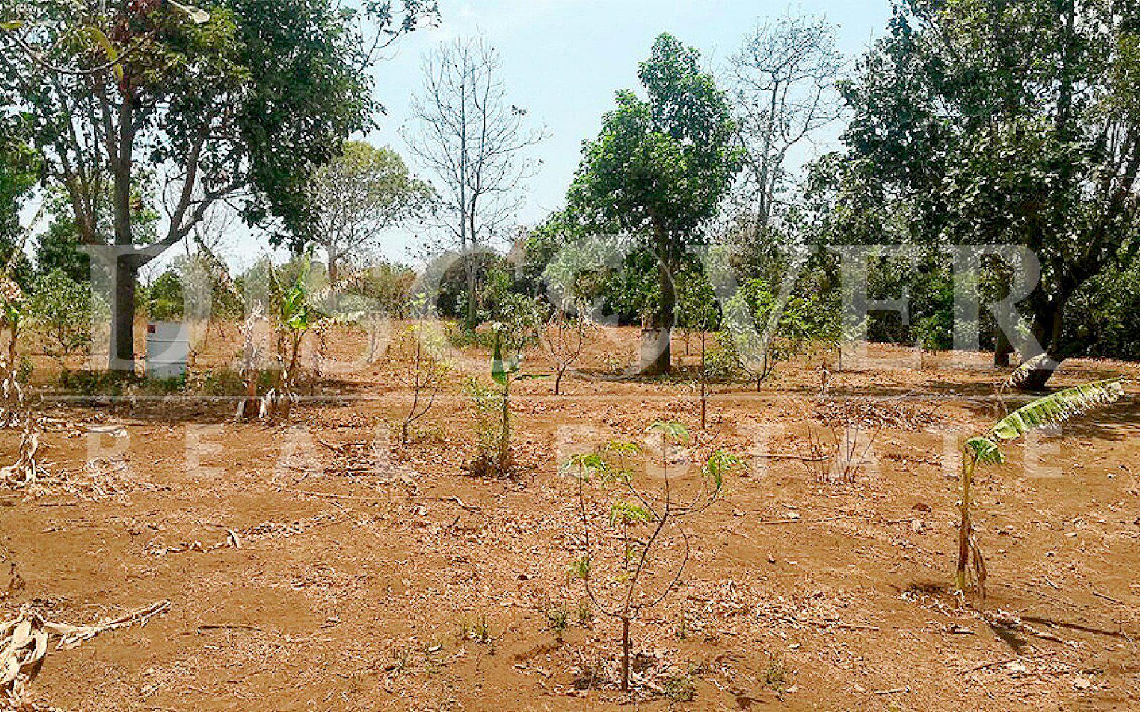 Land with a newly built House included for Sale in Masaya ID 9841