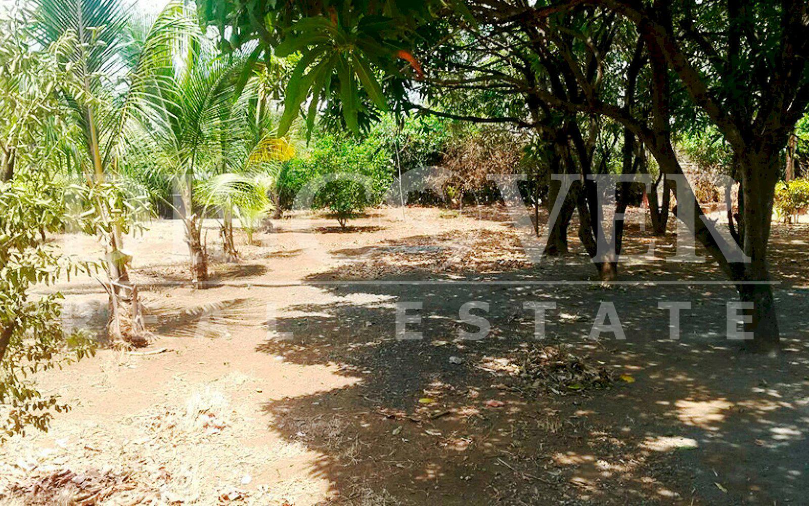 Land with a newly built House included for Sale in Masaya ID 9841
