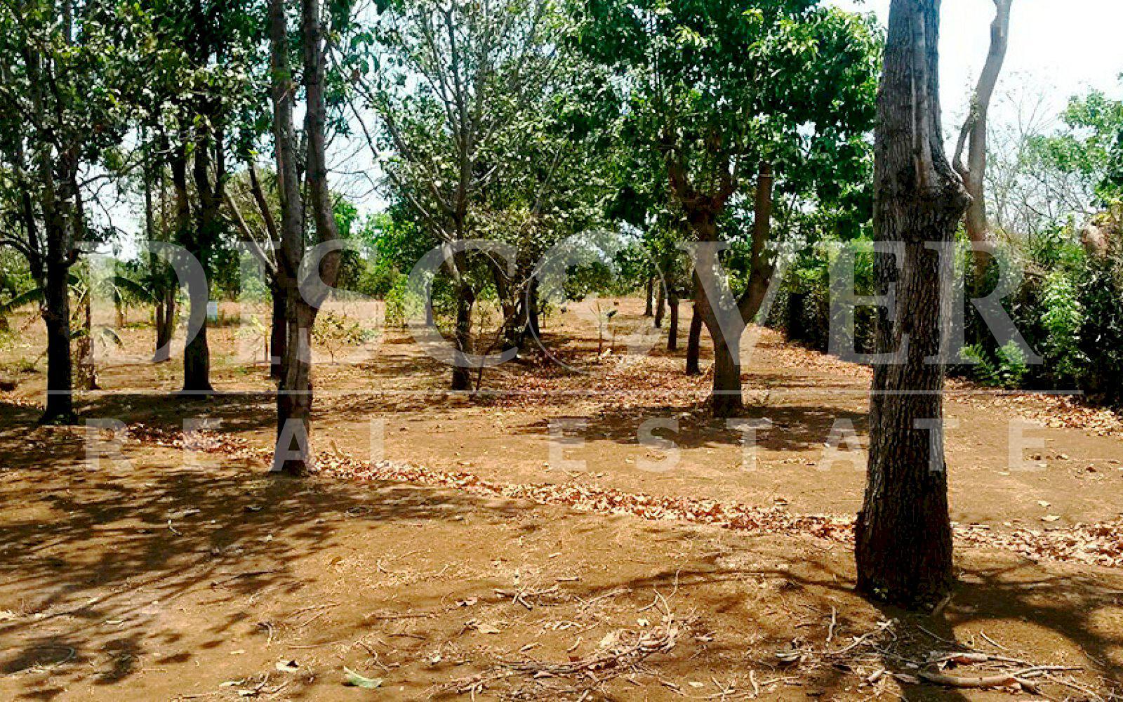 Land with a newly built House included for Sale in Masaya ID 9841