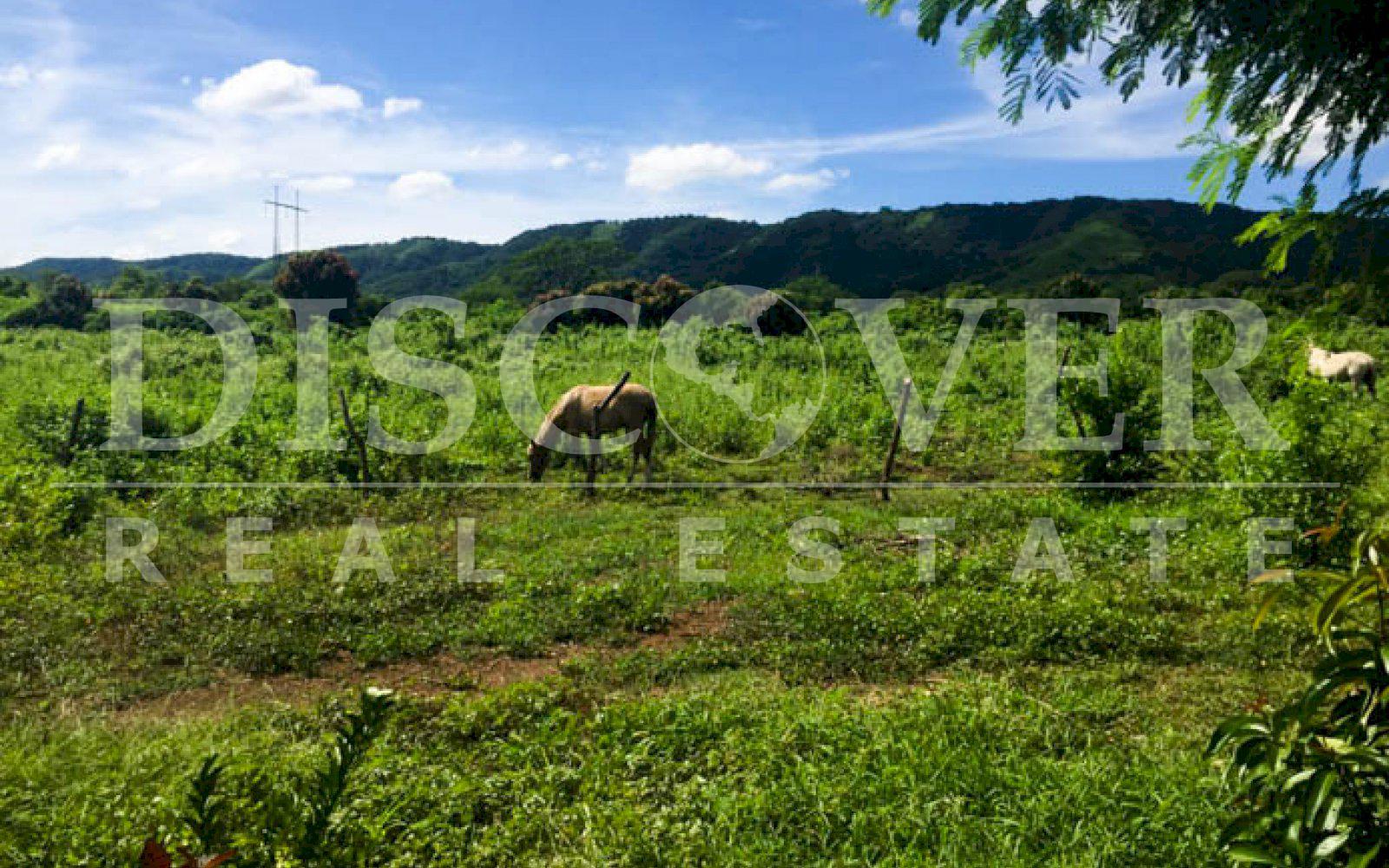  Pano Land for Sale of 7 Mzs in Mateare 60 meters from Nueva León Highway ID 10347