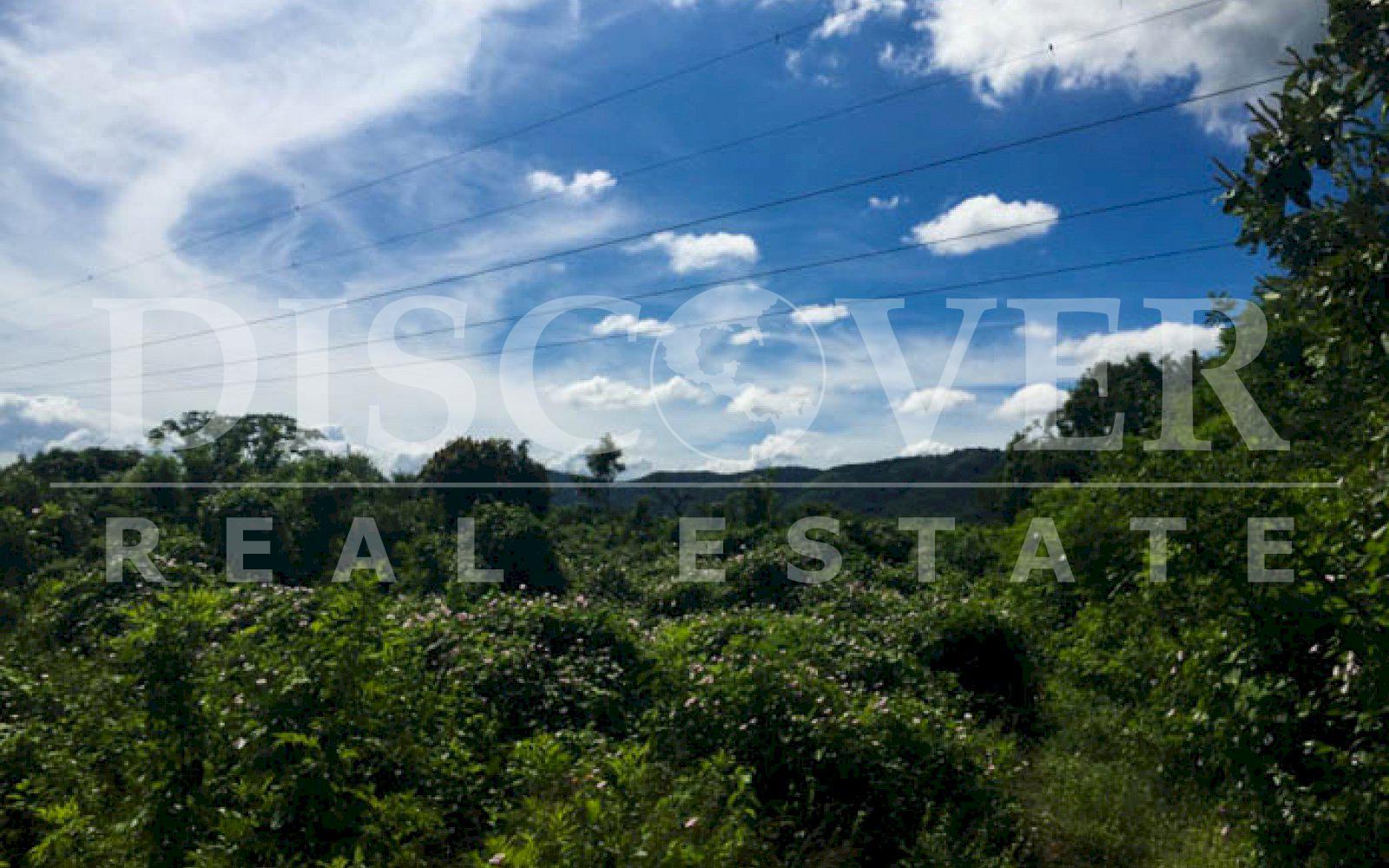  Pano Land for Sale of 7 Mzs in Mateare 60 meters from Nueva León Highway ID 10347