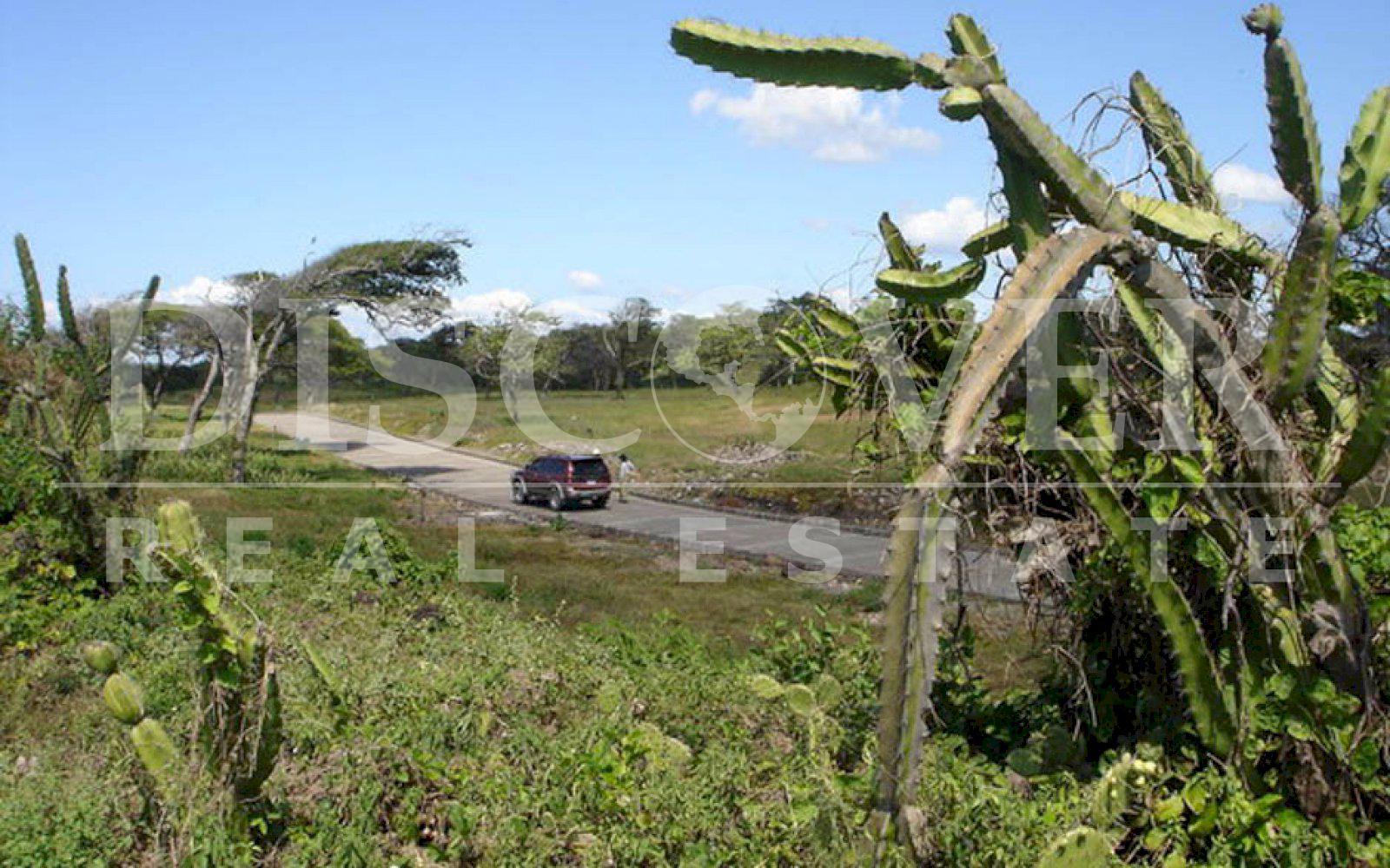 Imagen 3 de la galería